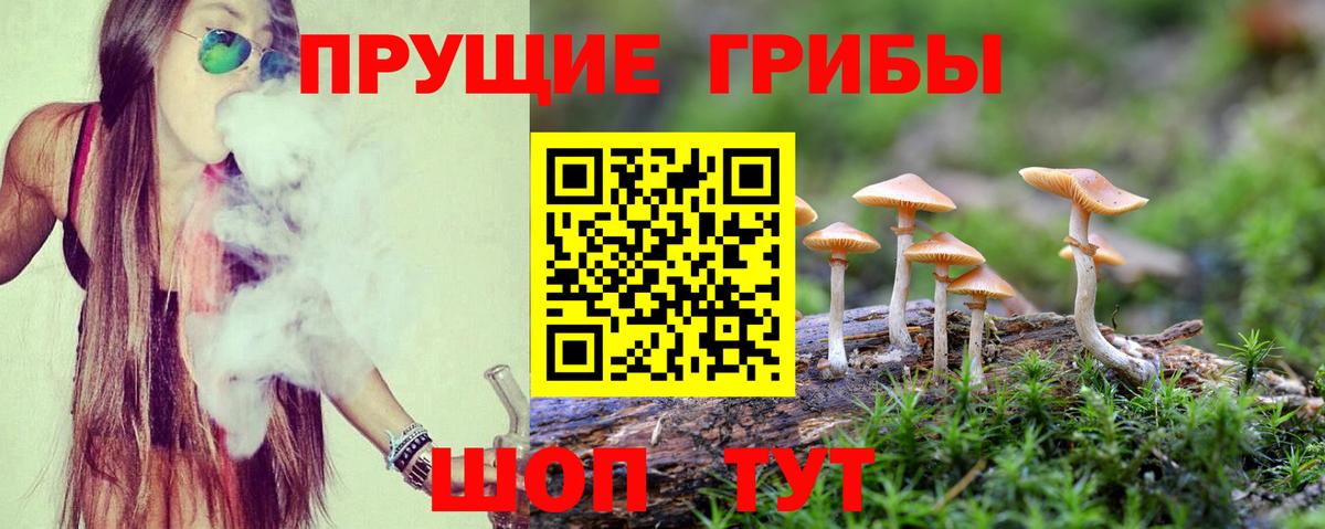 Псилоцибиновые грибы GOLDEN TEACHER Боровичи
