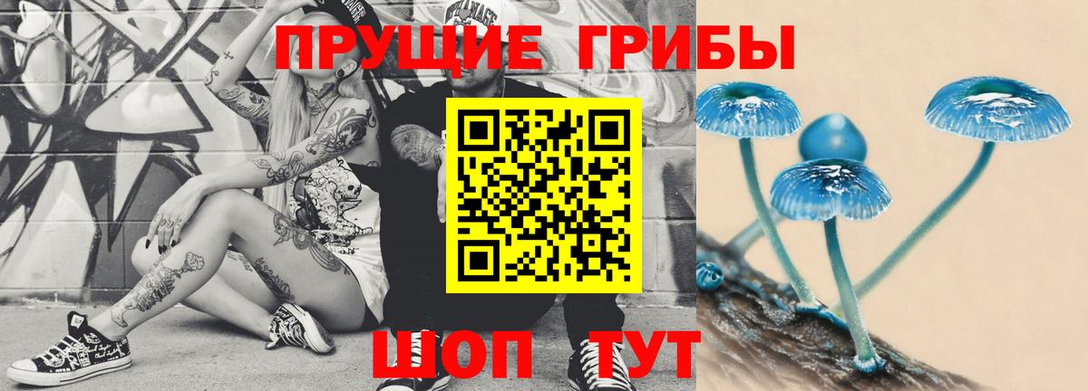 Псилоцибиновые грибы GOLDEN TEACHER  Галлюциногенные грибы мицелий  Вход с VPN  Боровичи 